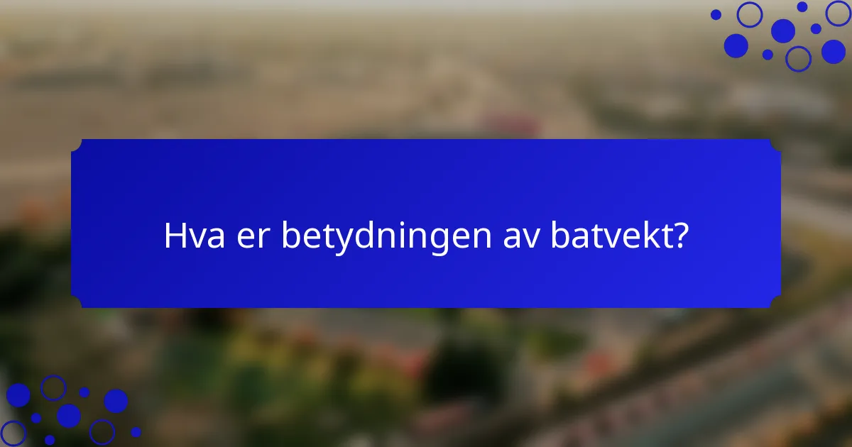 Hva er betydningen av batvekt?